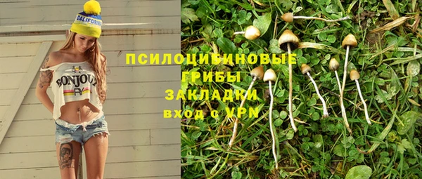 шишки Осинники