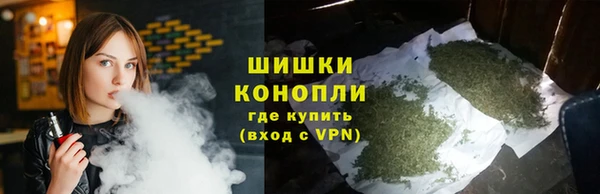 Альфа ПВП Осташков