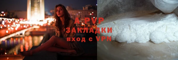 шишки Осинники