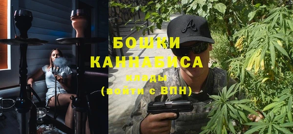 шишки Осинники