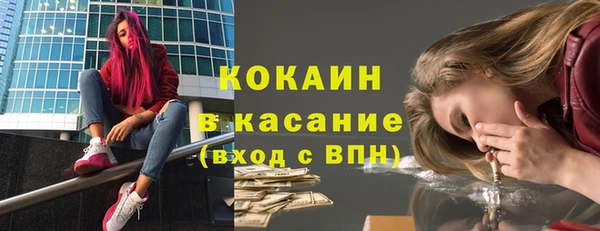 шишки Осинники