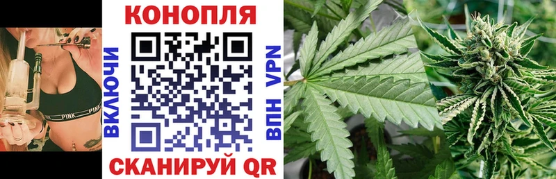 как найти   MEGA онион  Канабис конопля  Нестеровская 